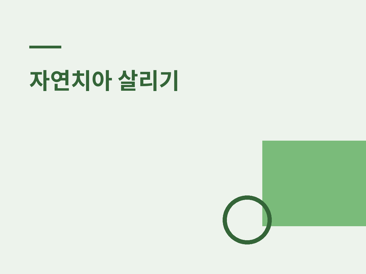 부러진 치아, 빼기 전에 확인할 것 3가지