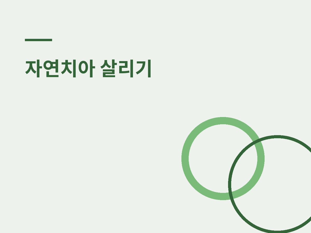 사랑니 발치, 꼭 필요한 경우는?